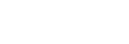 Logo Bayas Group
